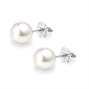 18ct White Gold Akoya AAA Grade Pearl Stud Earrings 8.0mm thumbnail